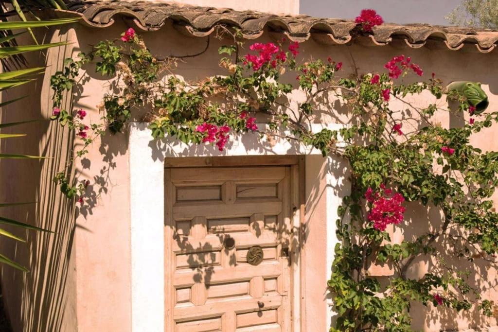 Sitges Hill Retreats-Masia Nur 22 Bedrooms Divided Over 9 Houses For Max 44 Guests Canyelles  Exterior photo